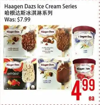 Haagen Dazs Ice Cream Series