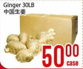 Fresh Value Ginger 30LB offer