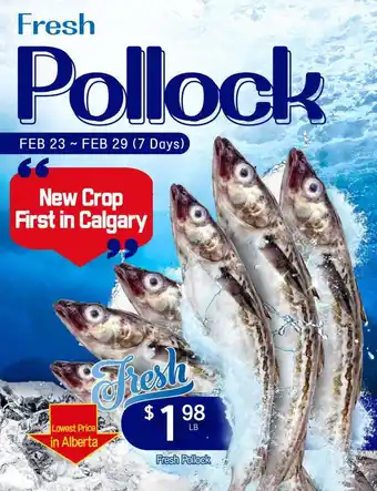 H-Mart Fresh Pollock offer