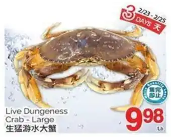 T&T Supermarket Live Dungeness Crab Large offer
