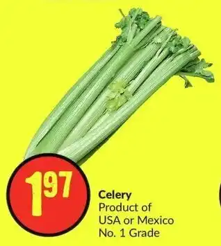 FreshCo Celery offer