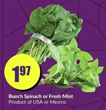 FreshCo Bunch Spinach or Fresh Mint offer