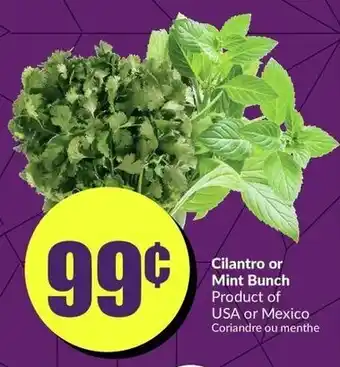 FreshCo Cilantro or Mint Bunch offer