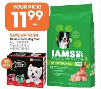 Giant Tiger Cesar or lams dog food offer