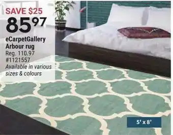 Giant Tiger eCarpet Gallery Arbour rug offer