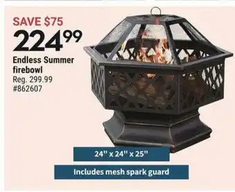 Giant Tiger Endless Summer firebowl offer
