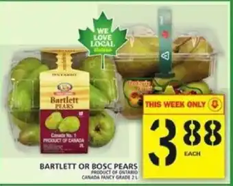 Food Basics Barylett or Bosc Pears offer