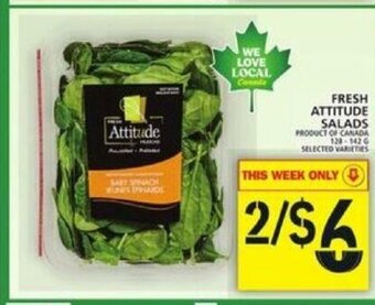 Food Basics Fresh attitude Salads offer