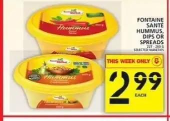 Food Basics Fontaine Santé Hummus Dips or Spreads offer