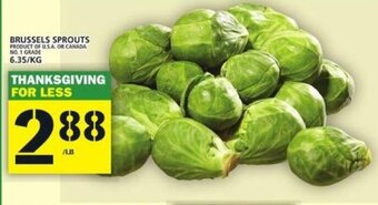 Food Basics Brussels Sprouts offer
