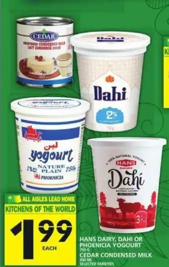 Food Basics Hans Dairy, Dahi Or Phoenicia Yogourt offer