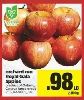 Real Canadian Superstore Orchard Run Royal Gala Apples offer
