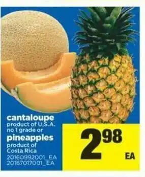 Real Canadian Superstore Cantaloupe Pineapples offer