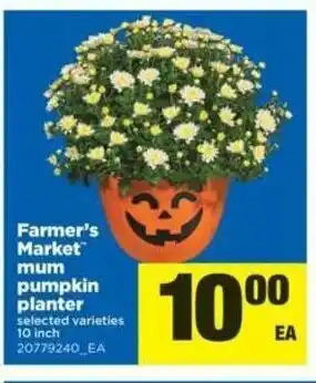 Real Canadian Superstore Farmer's Market Mum Pumpkin Planter offer