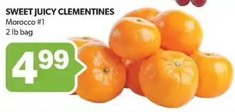 Colemans SWEET JUICY CLEMENTINES offer
