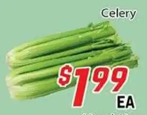 Celery