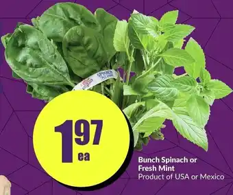 FreshCo Bunch Spinach or Fresh Mint offer
