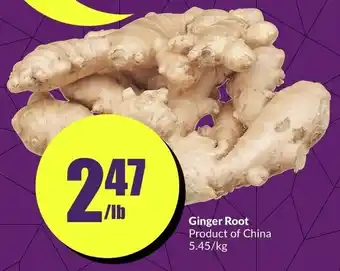 FreshCo Ginger Root offer