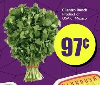 FreshCo Cilantro Bunch offer