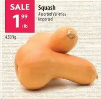 Co-op Squash offer