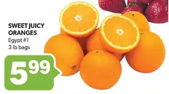SWEET JUICY ORANGES