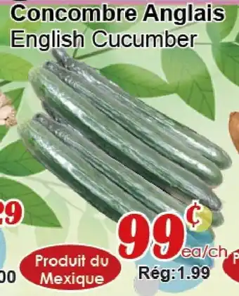 Marche C&T English Cucumber offer