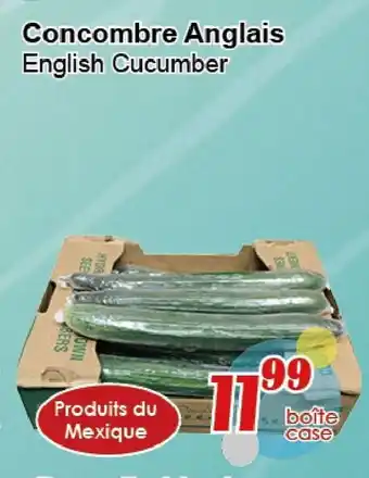 English Cucumber