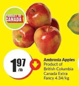 FreshCo Ambrosia Apples offer