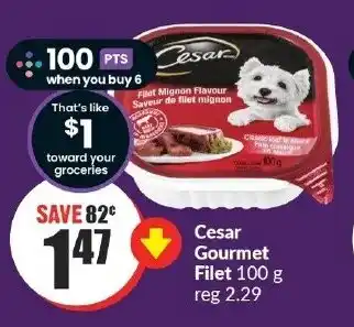 FreshCo Cesar Gourmet Filet 100g offer