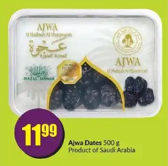 FreshCo Ajwa Dates 500g offer