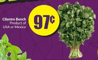 FreshCo Cilantro Bunch offer