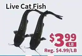 Blue Sky Supermarket Live Cat Fish offer