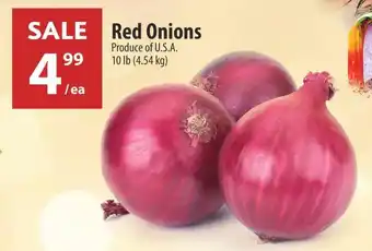 Co-op Red Onions offer