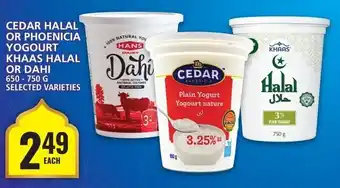 Food Basics CEDAR HALAL OR PHOENICIA YOGOURT KHAAS HALAL OR DAHI 650-750G SELECTED VARIETIES offer