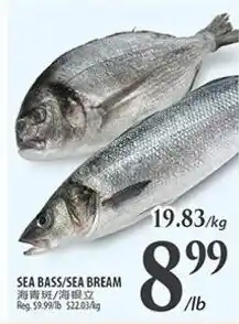 Al Premium Food Mart SEA BASS/SEA BREAM offer