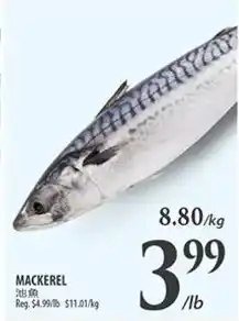 Al Premium Food Mart MACKEREL offer