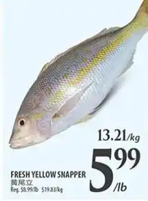 Al Premium Food Mart FRESH YELLOW SNAPPER offer