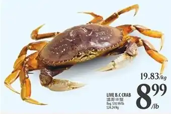 Al Premium Food Mart LIVE B.C CRAB offer
