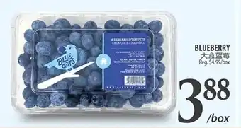 BLUEBERRY