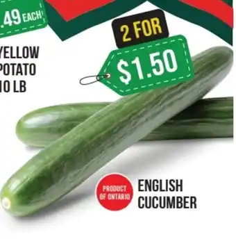 Iqbal Foods ENGLISH CUCUMBER offer