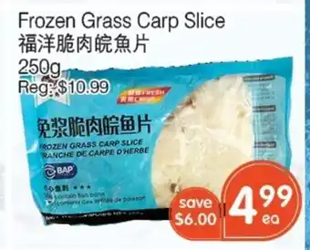 Frozen Grass Carp Slice