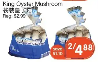 King Oyster Mushroom