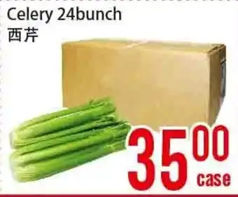 Fresh Value Celery 24bunch offer