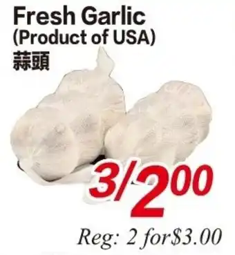Fresh Garlic