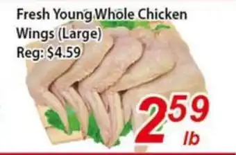 Seasons Foodmart Fresh Young Whole Chicken Wings (Large) offer