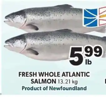 FRESH WHOLE ATLANTIC SALMON