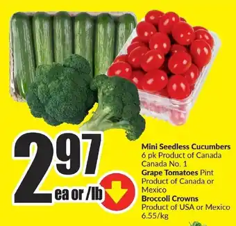 FreshCo Mini Seedless Cucumbers offer