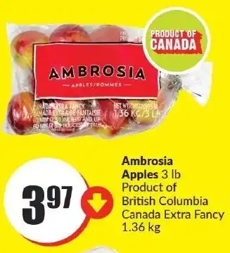 FreshCo Ambrosia Apples offer