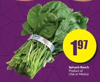 FreshCo Spinach Bunch offer