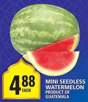 Food Basics MINI SEEDLESS WATERMELON offer